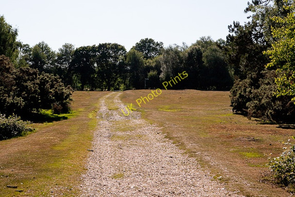 Photo 6"x4" Kingston North Common Kingston\/SU1402 c2010
