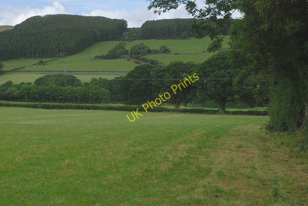 Photo 6"x4" Field in the Ystwyth valley Abermagwr c2010 P1