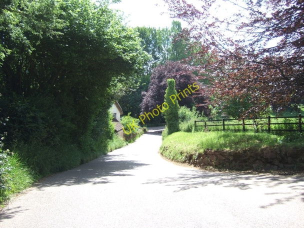 Photo 6"x4" Forde Cross, near Cheriton Fitzpaine Perry\/SS8605 c2010