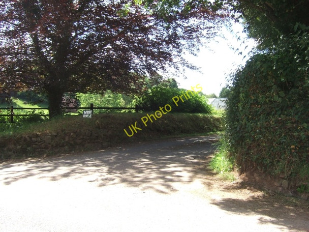 Photo 6"x4" Entrance road to West Forde Farm Perry\/SS8605 c2010