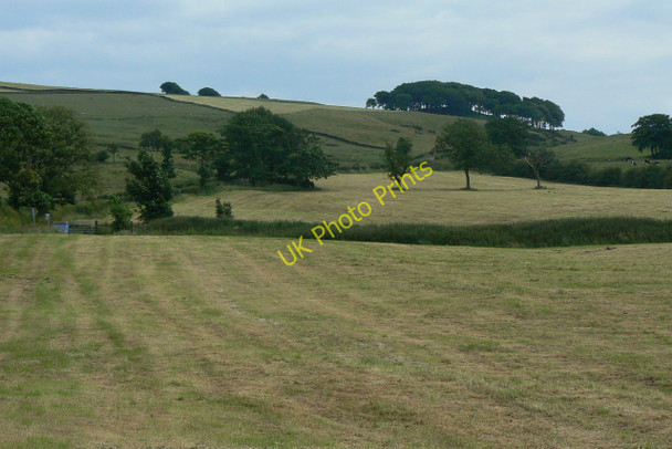 Photo 6"x4" Hayfields near Hollinset Farm Wincle c2010