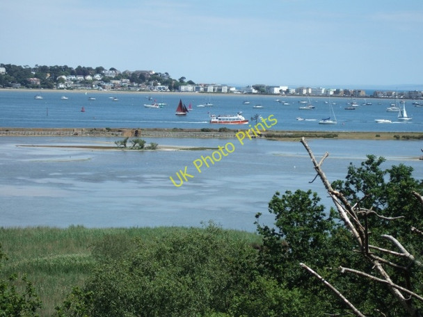 Photo 6"x4" View from Cabbage Hill, Brownsea Island Lilliput c2010