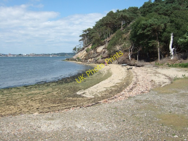 Photo 6"x4" Beach north of Pottery Pier, Brownsea Island Lower Hamworthy c2010