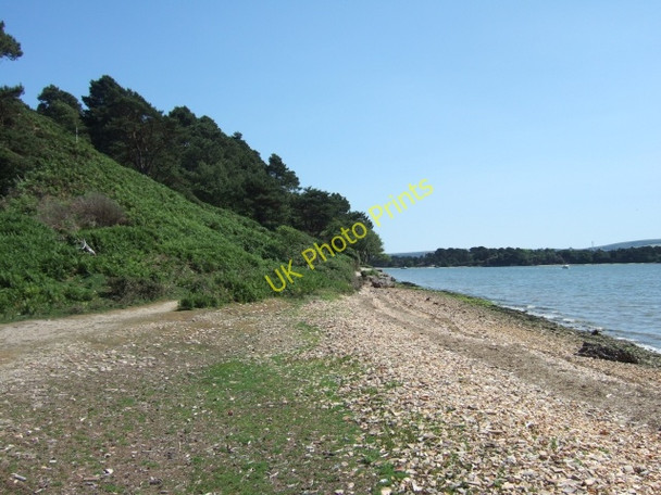 Photo 6"x4" Beach south of Pottery Pier, Brownsea Island Lower Hamworthy c2010