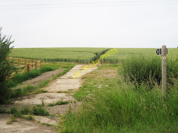 Photo 6"x4" Wheat Field near Fagg's Farm  Aldington Frith c2010
