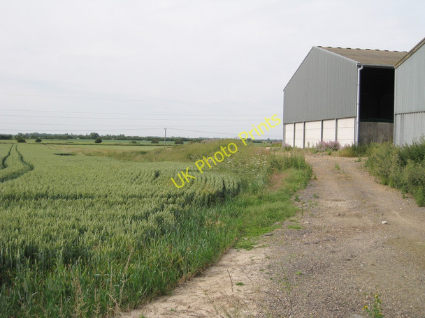 Photo 6"x4" Wheat Field by Carter Farm Hamstreet c2010