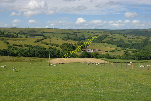Photo 6"x4" Fields around Fairdre Fawr farm Gwernafon c2010