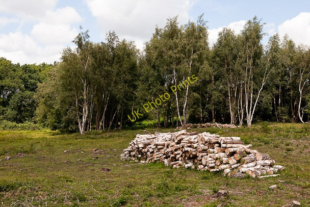 Photo 6"x4" Recently created clearing on Baddesley Common Crampmoor c2010
