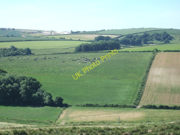 Photo 6"x4" Fields to west of Winterborne Monkton Winterborne Monkton c2010