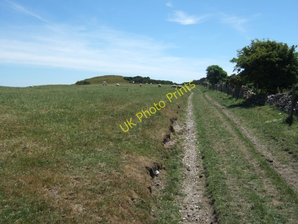 Photo 6"x4" Path to tumulus on Bronkham Hill Coryates c2010