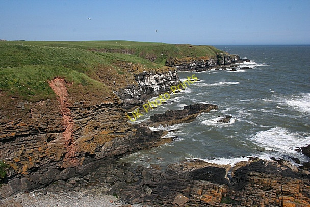 Photo 6"x4" Cliffs near Bruce's Haven Whinnyfold c2010