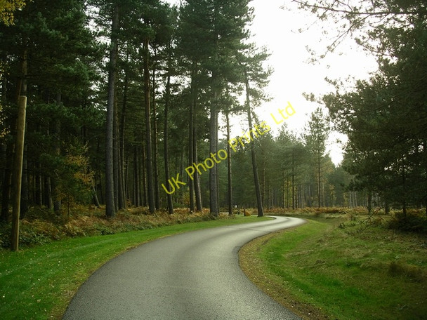 Photo 6"x4" Sherwood Pines Forest Park Lidgett c2007