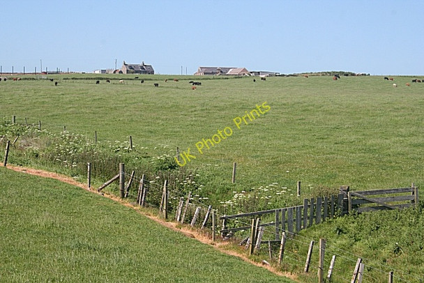 Photo 6"x4" Field Boundaries Whinnyfold c2010