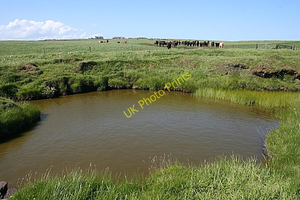 Photo 6"x4" Clifftop Pool Whinnyfold c2010