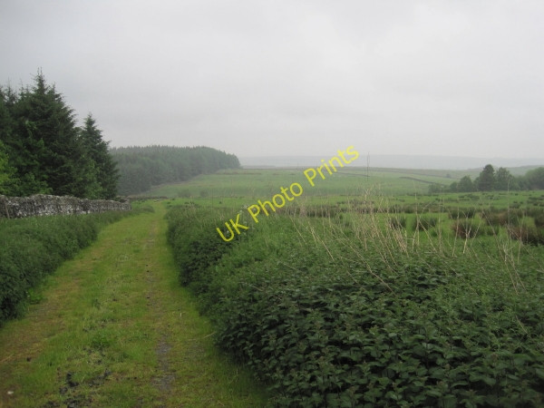 Photo 6"x4" Bridleway towards Blacka Burn Stonehaugh c2010