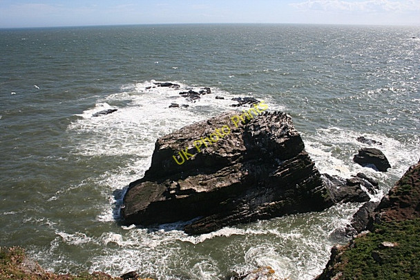 Photo 6"x4" Seabird City Whinnyfold c2010