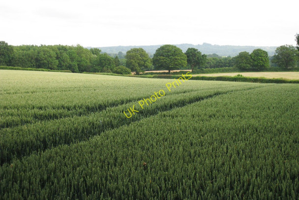 Photo 6"x4" Wheat Field by Carter Farm Four Elms\/TQ4648 c2010