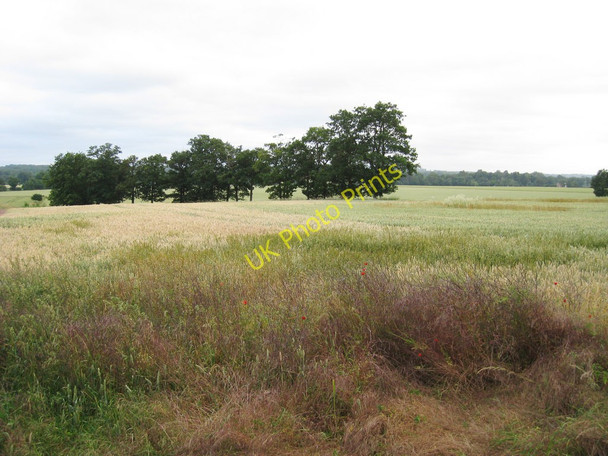 Photo 6"x4" Crop Field off Hever Road Edenbridge c2010