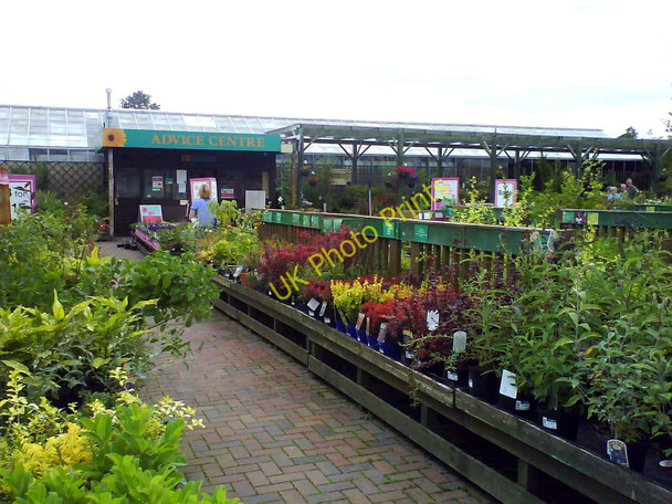 Photo 6"x4" Dobbies Garden Centre near Shinfield Ryeish Green c2010