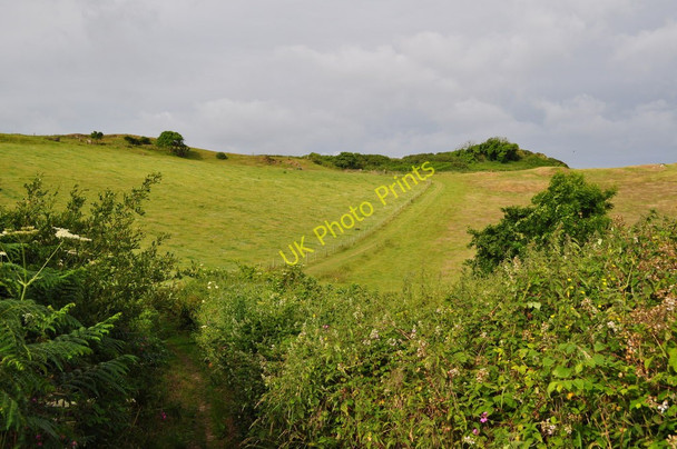 Photo 6"x4" A footpath from Warcombe Lane to Damage Barton following the line of the fence Higher Warcombe c2010