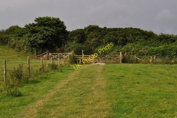 Photo 6"x4" A footpath from Lee to Damage Barton Higher Warcombe c2010
