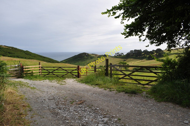 Photo 6"x4" A footpath from Damage Barton to Lee Higher Warcombe c2010