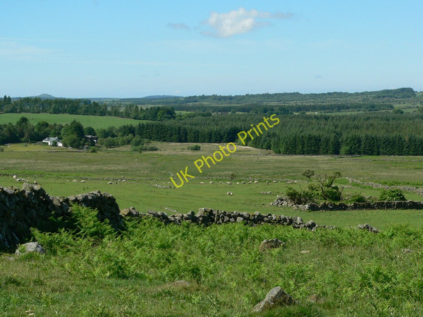 Photo 6"x4" From the old military road SW to the A 75 Kirkcowan c2010
