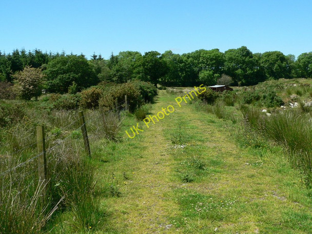 Photo 6"x4" Field access above Knockmore Spittal\/NX3657 c2010