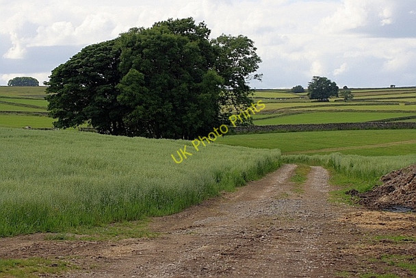 Photo 6"x4" Track to Pasture Barn Pomeroy\/SK1167 c2010