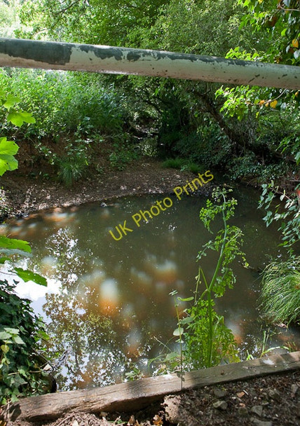 Photo 6"x4" Tadburn Lake near Emer Farm Crampmoor c2010