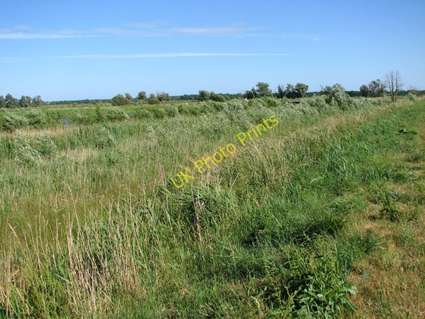 Photo 6"x4" A drainage channel hidden by reeds Burgh St Peter c2010