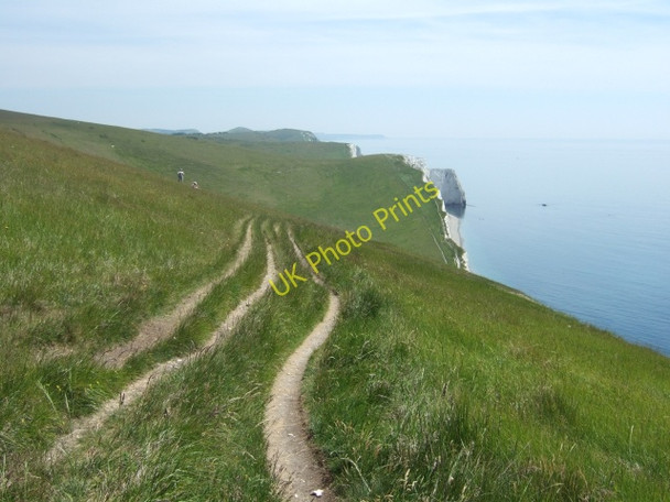 Photo 6"x4" South West Coast Path in The Warren (looking east) Chaldon Herring or East Chaldon c2010