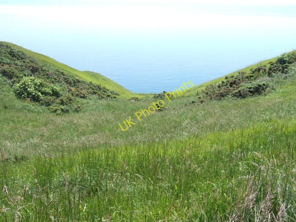 Photo 6"x4" West Bottom, below the South West Coast Path Chaldon Herring or East Chaldon c2010