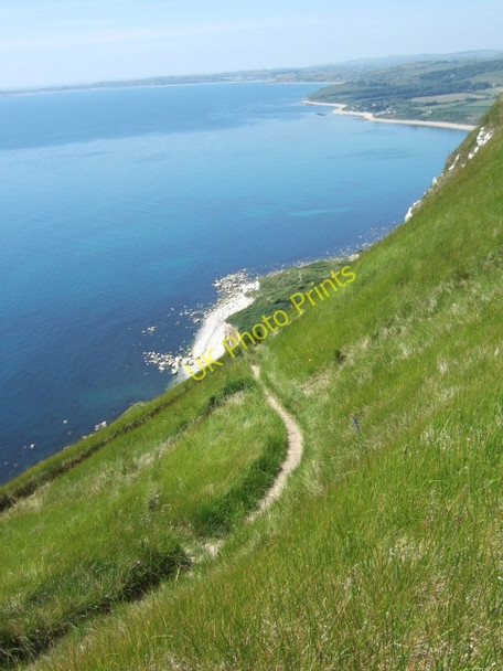 Photo 6"x4" The smugglers' path at White Nothe Chaldon Herring or East Chaldon c2010