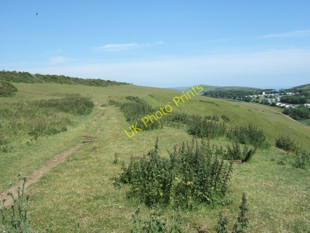Photo 6"x4" Footpath near Newlands Farm Chaldon Herring or East Chaldon c2010