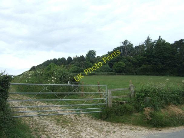 Photo 6"x4" The Knoll, near Swyre Puncknowle c2010