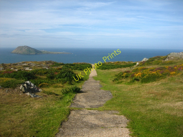 Photo 6"x4" Summer morning at Mynydd Mawr Uwchmynydd c2009