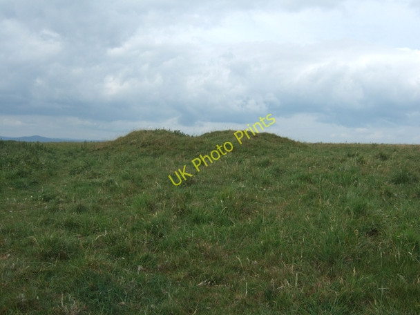 Photo 6"x4" Tumulus on Eggardon Hill West Compton\/SY5694 c2010