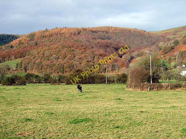 Photo 6"x4" Pasture in the Dyfi Valley Machynlleth c2007