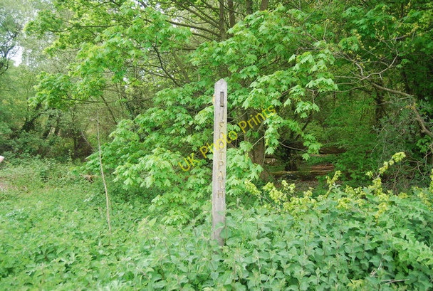 Photo 6"x4" Footpath onto Lane End Common Fletching Common c2010