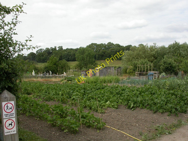 Photo 6"x4" Upper Brailes, allotments Grove End\/SP3039 c2010