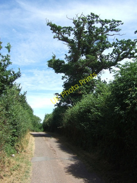 Photo 6"x4" Minor road west of A376 at Ebford Ebford c2010