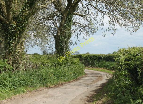Photo 6"x4" 2010 : Chicks Lane heading east to Ston Easton Emborough c2010