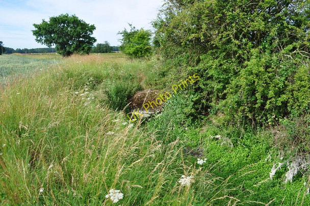 Photo 6"x4" The Merton Stone in an Old Marl Pit Watton\/TF9100 c2010