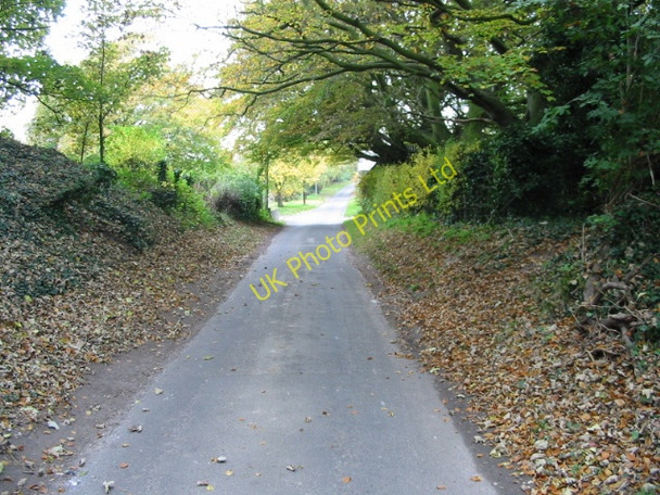 Photo 6"x4" Road to Selson past Wells Farm Gore\/TR3055 c2007