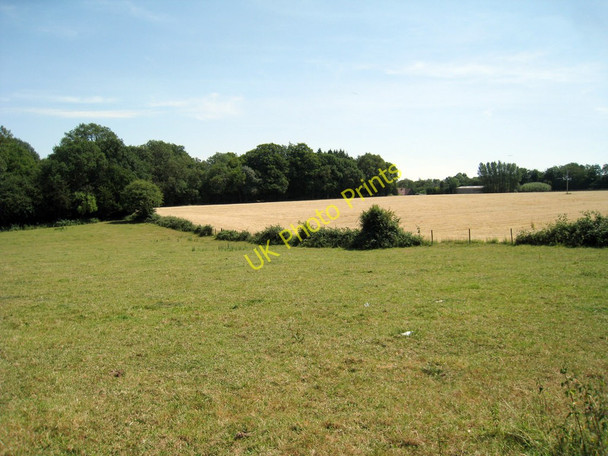 Photo 6"x4" Fields of Buckhurst Road South Street\/TQ4357 c2010