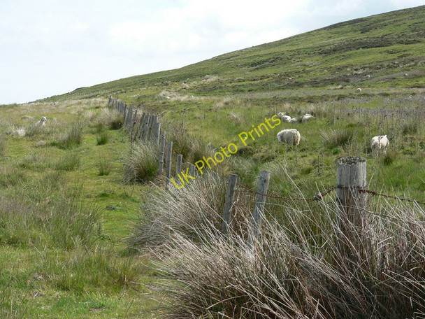Photo 6"x4" Livestock fencing on Cnoc Odhar Auchaluskin Killean\/NR6944 c2010