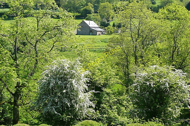 Photo 6"x4" House near the pub Craswall\/SO2835 c2010
