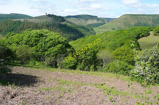 Photo 6"x4" Towards Pen y Ddinas Llanwrtyd Wells c2010