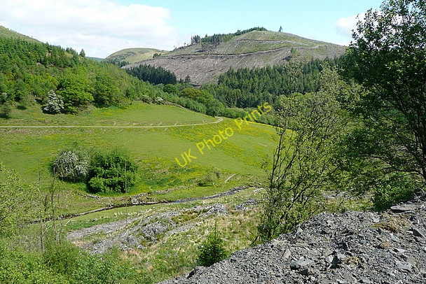 Photo 6"x4" Towards Pen y Ddinas Llanwrtyd Wells c2010
